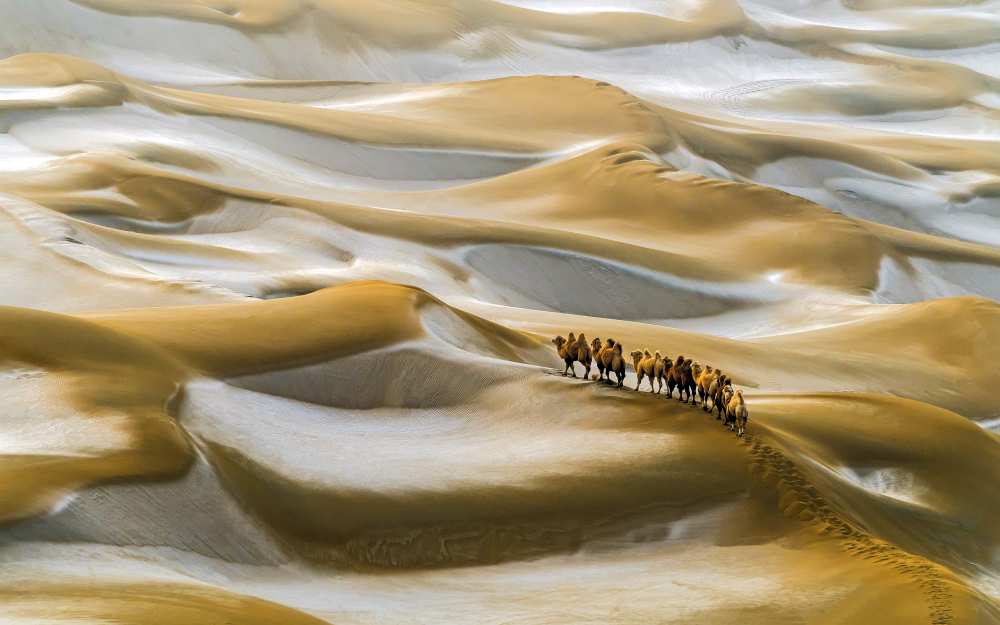 Desert Winter de Hua Zhu