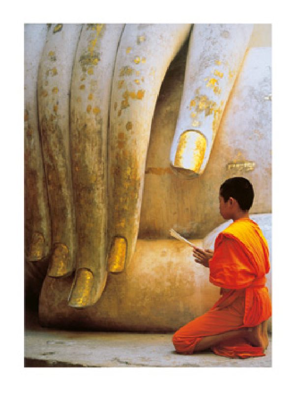 The Hand of Buddha de Hugh Sitton