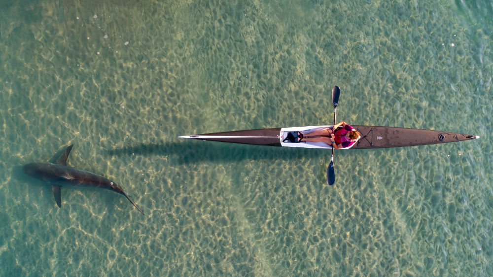 shark kayaking de Ido Meirovich
