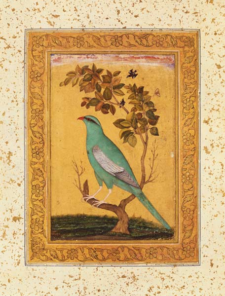 Green Bird, Mughal de Indian School