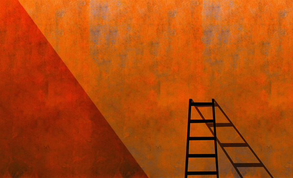A ladder and its shadow de Inge Schuster