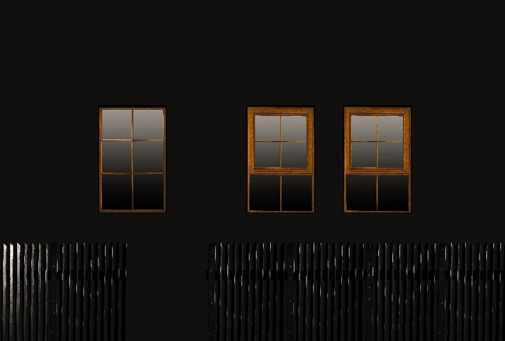Windows in the dark de Inge Schuster