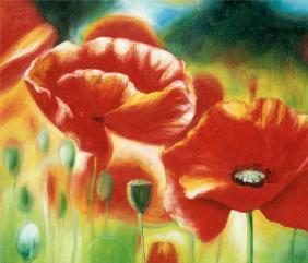 Amapolas I