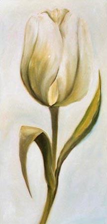 Tulipán blanco 3