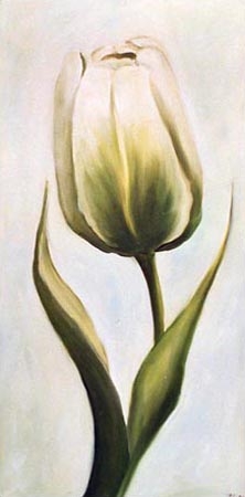 Tulipán blanco 2 de Ingeborg Kuhn