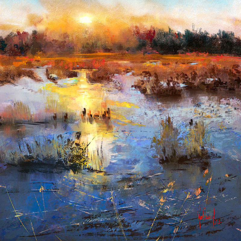 Marsh Sunset de Georg Ireland