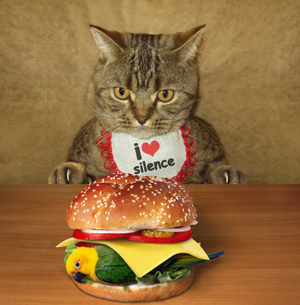 Cat and birdburger.... de Iryna Kuznetsova (Iridi)