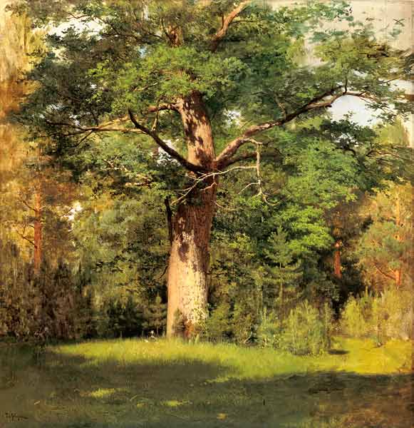 The oak de Isaak Iljitsch Lewitan