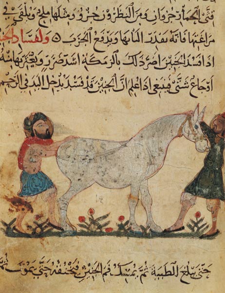 A veterinarian helping a mare to give birth, illustration from the 'Book of Farriery' by Ahmed ibn a de Islamic School