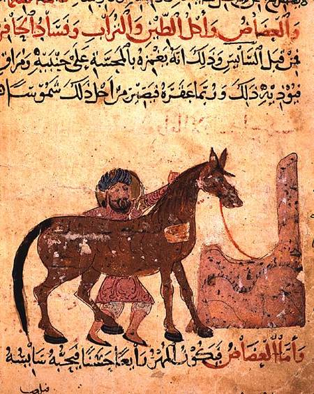 Caring for the horse, illustration from the 'Book of Farriery' by Ahmed ibn al-Husayn ibn al-Ahnaf de Islamic School