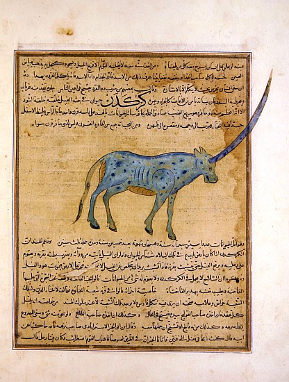 Ms E-7 fol.191b Rhinoceros, illustration from ''The Wonders of the Creation and the Curiosities of E de Islamic School