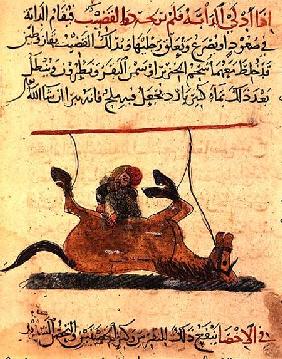 Operation on a horse, illustration from the 'Book of Farriery' by Ahmed ibn al-Husayn ibn al-Ahnaf