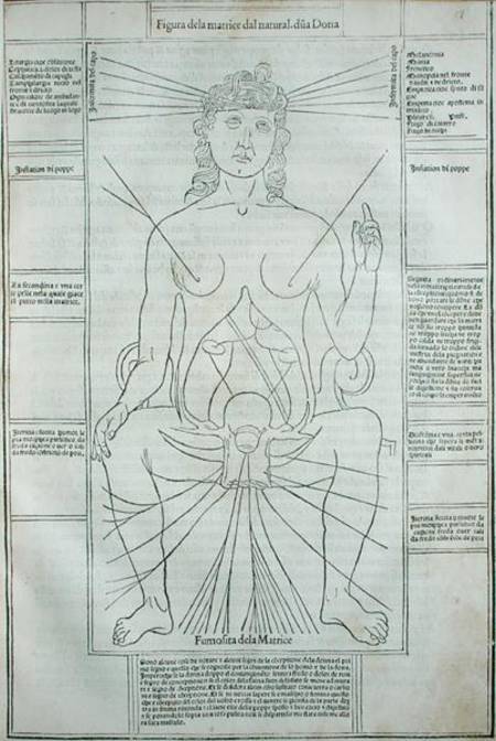 Female Anatomy from 'Fasciculus Medicinae' by Johannes de Ketham (d.c.1490) de Scuola pittorica italiana