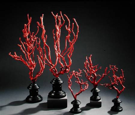 Set of wooden drawing models imitating coral, from the University of Florence de Scuola pittorica italiana