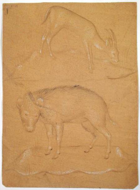 Study of a goat and a boar de Scuola pittorica italiana