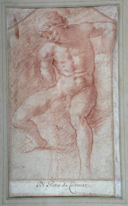 Study of a seated male nude de Scuola pittorica italiana