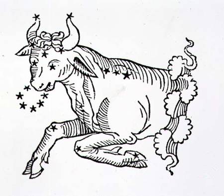 Taurus (the Bull) an illustration from the 'Poeticon Astronomicon' by C.J. Hyginus, Venice de Scuola pittorica italiana