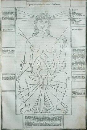 Female Anatomy from 'Fasciculus Medicinae' by Johannes de Ketham (d.c.1490)