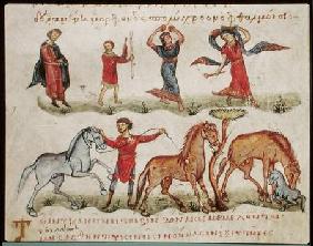 Ms Grec 479 Horse Trainers, illustration from the Halieutica or the Cynegetica by Oppian