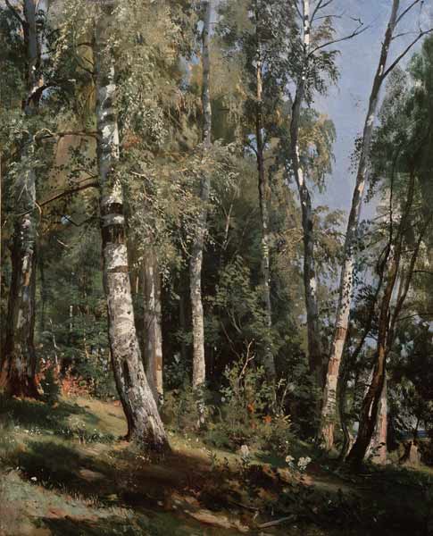 Birch grove de Iwan Iwanowitsch Schischkin