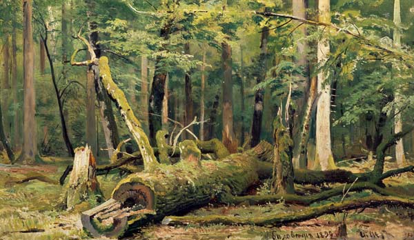 I.I.Zhishkin / Felled Oak / Ptg./ 1892 de Iwan Iwanowitsch Schischkin