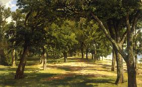 I.I.Shishkin, Wood Glade, 1889