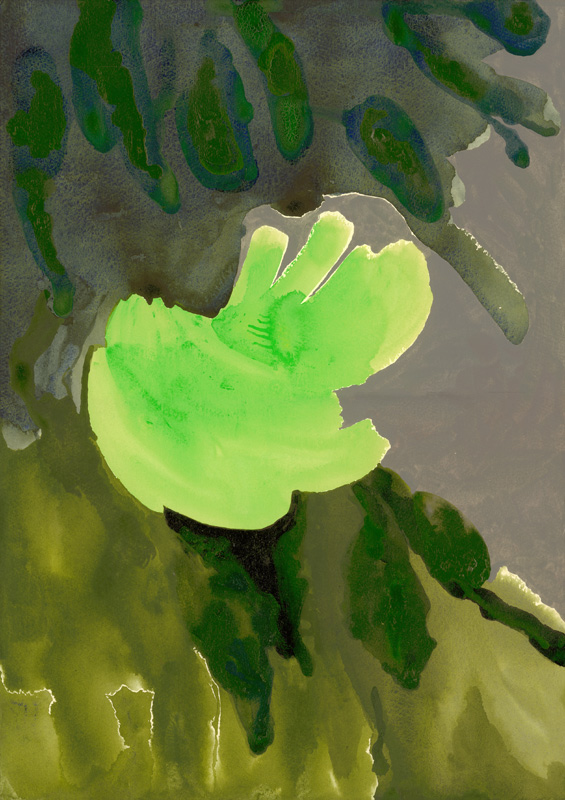 Kensington Gardens Series: Leaf Cascade de Izabella  Godlewska de Aranda