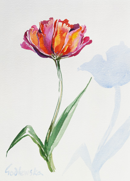 Tulip, 1998 (w/c on paper) (see also 124446 & 124448)  de Izabella  Godlewska de Aranda