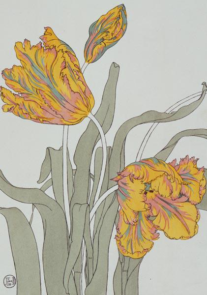 Tulip by J. Foord (fl.1890) plate 16 from 'Decorative Flower Studies' pub. 1901