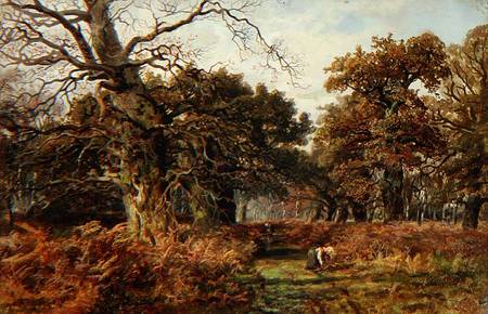 Sherwood Forest de J. Hudson Willis