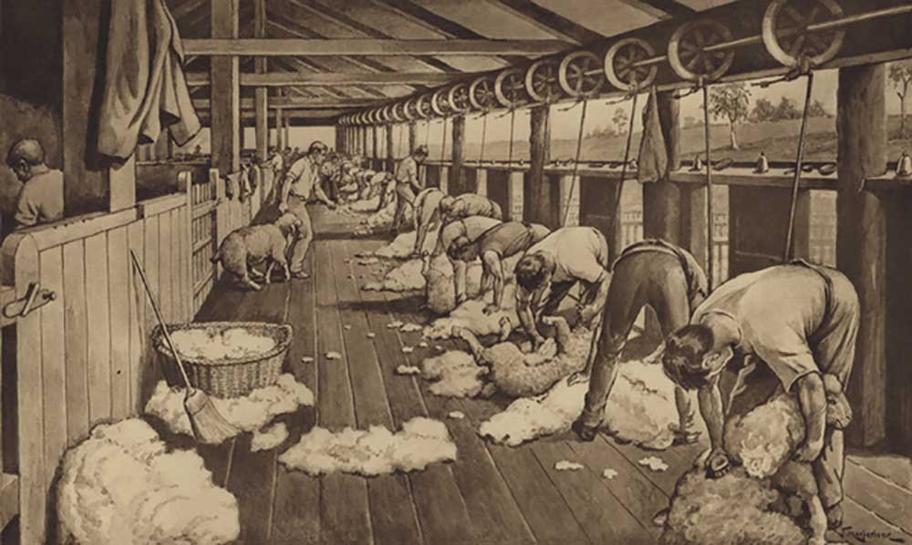 Sheep-shearing in Australia de J. Macfarlane