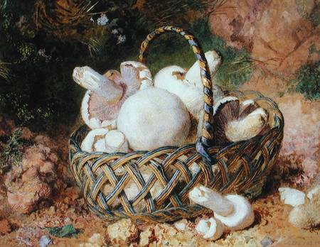 A Basket of Mushrooms de Jabez Bligh