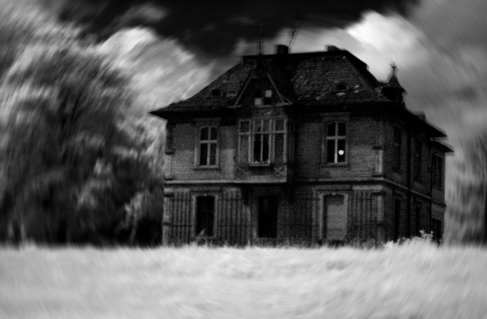 The haunted house de Jacek Stefan