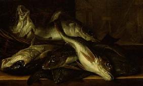 A Still Life of fish