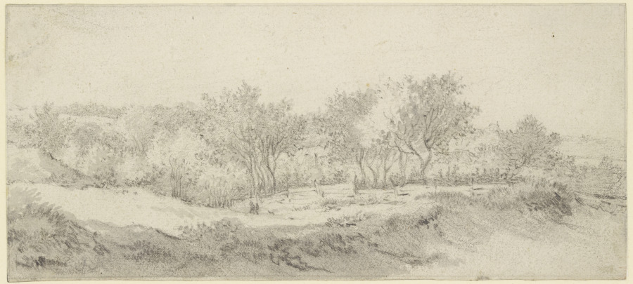 Kleine Baumpartie mit Zaun de Jacob Isaacksz. van Ruisdael