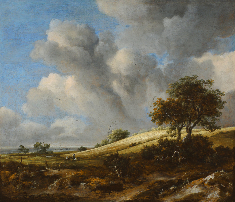 A Cornfield with the Zuiderzee in the background de Jacob Isaacksz van Ruisdael