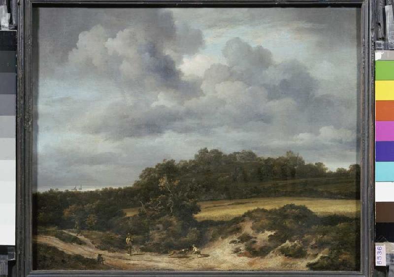 The cornfield. de Jacob Isaacksz van Ruisdael