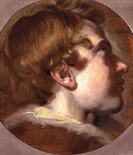 Head of a Young Boy de Jacob Jordaens