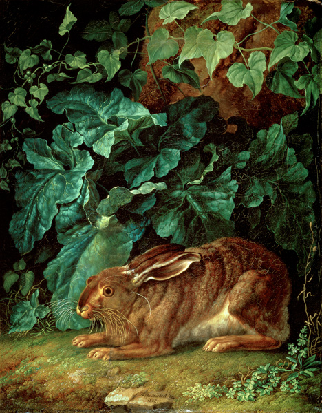 A Hare in Undergrowth de Jacob Philipp Hackert