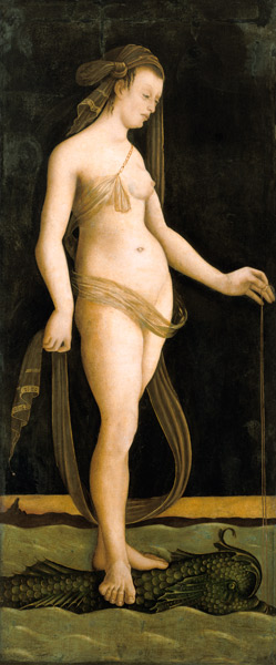 Galathea, on a dolphin standing. de Jacopo de Barbari