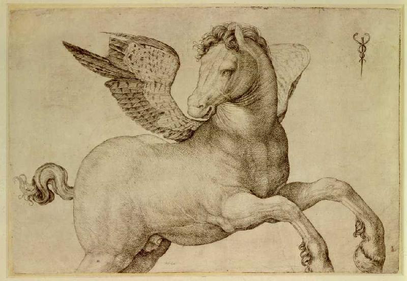 Pegasus. de Jacopo de Barbari