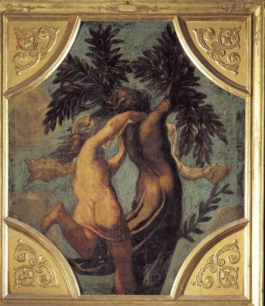 Tintoretto / Apollo and Daphne de Jacopo Robusti Tintoretto