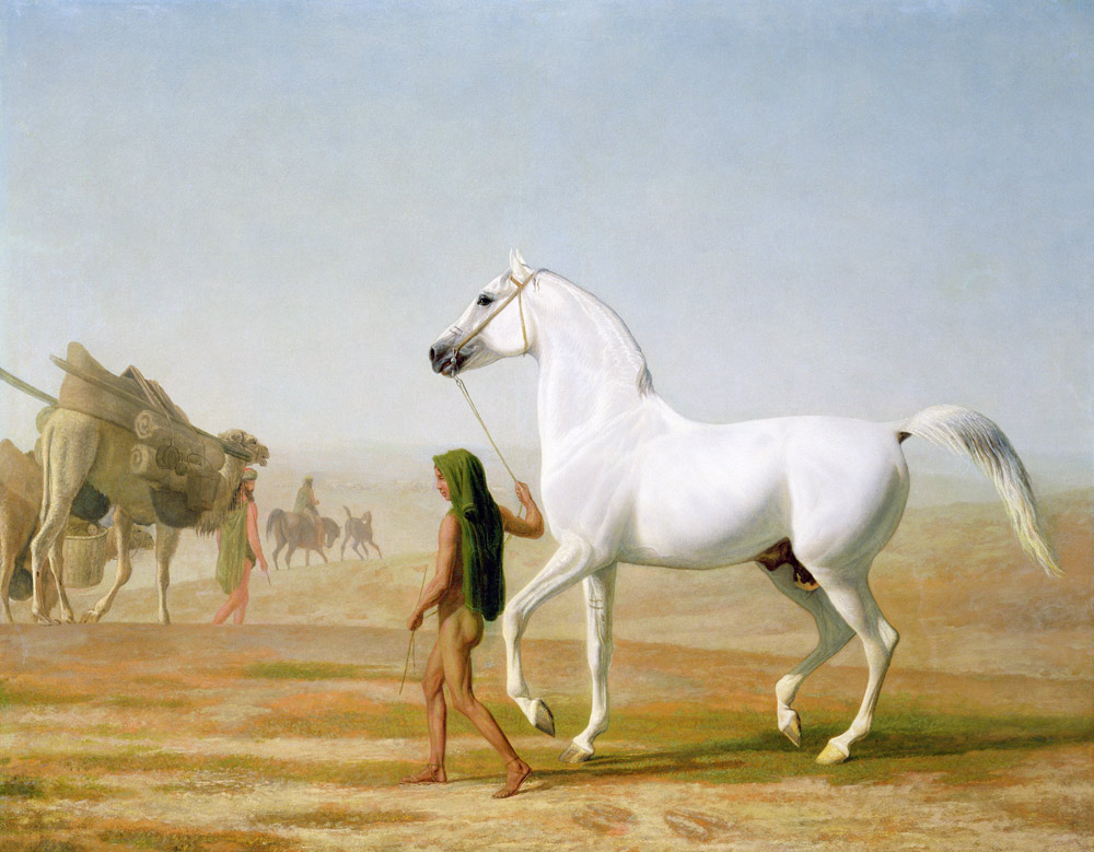 The Wellesley Grey Arabian Led through the Desert de Jacques-Laurent Agasse