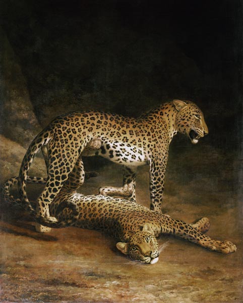Two Leopards Lying In The Exeter Exchange de Jacques-Laurent Agasse