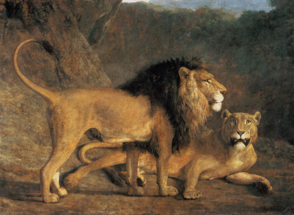 Lion and lioness in the Exeter Menagerie de Jacques-Laurent Agasse