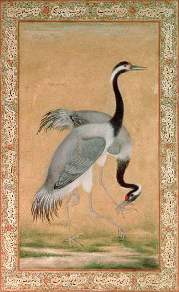 Cranes de Jahangir Period Mansur