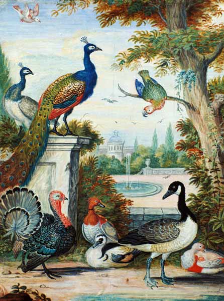 Exotic Birds and Domestic Fowl in a Picturesque Park de Jakab Bogdány