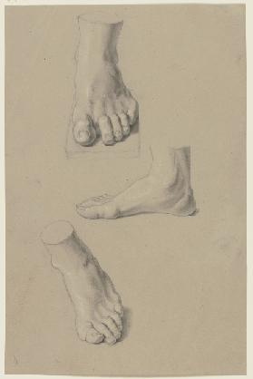 Study sheet: feet