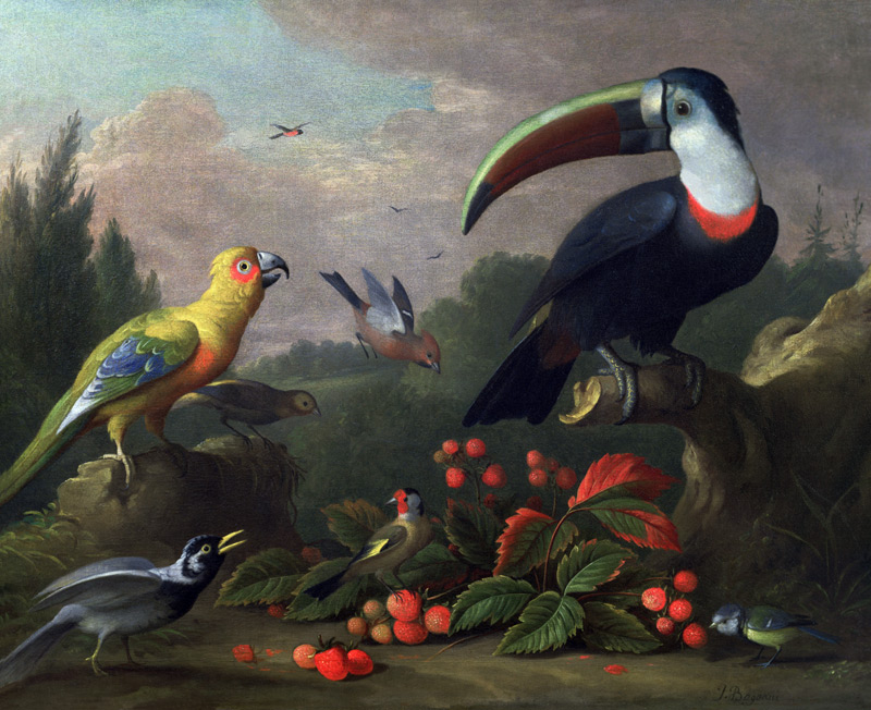 Toucan with Other Birds de Jakob Bogdani or Bogdany