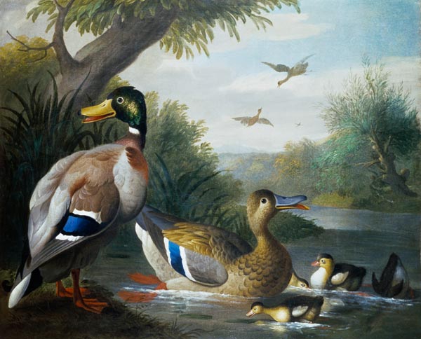 Ducks in a River Landscape de Jakob Bogdani or Bogdany
